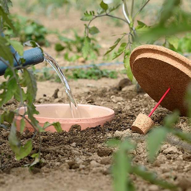 Irrigation] Vérifier ses Ollas - Le Potager du Poiraud